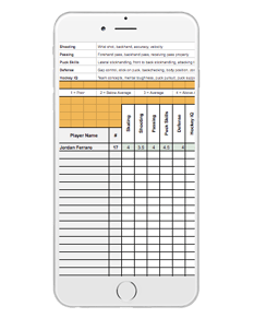 Hockey Tryouts Evaluation Form